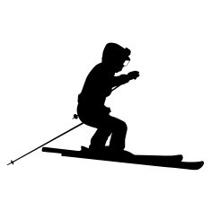 Mountain skier N7