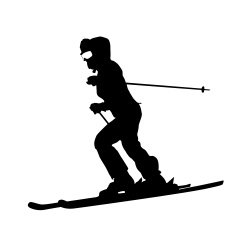 Mountain skier N10