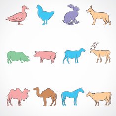 Animal N9