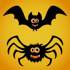 Bat and spider