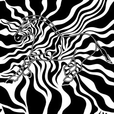 Seamless pattern of zebra