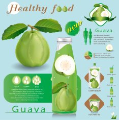 Vector illustration Guava juice package infographics N2