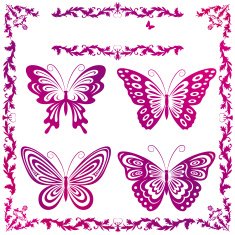 butterfly N110