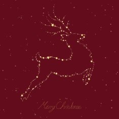 Vector Christmas Reindeer N2