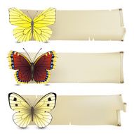 Butterfly banners