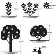 Flowers and trees size scheme