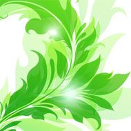 Leaf background N21