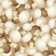 background of white and brown champignon