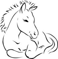 foal - black outline illustration