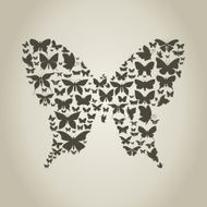 Silhouette the butterfly