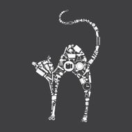 House a cat