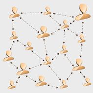 Management structure
