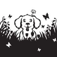 Puppy in a meadow