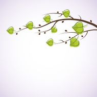 Green branch Seasonal background