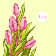 Bunch of tulips