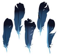 Feathers set N2