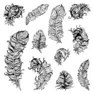 Feather set N17