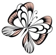 butterfly N113