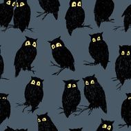 owls N14