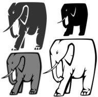 Elephants N35