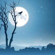 Night Landscape N3