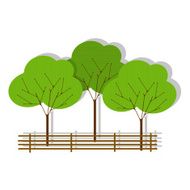 Green Forest N5