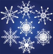 Snowflakes N60
