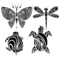Black and white butterflies turtle