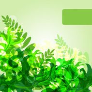 Green Leafs N7