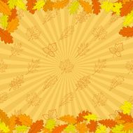 background autumn leaves N2