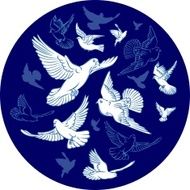 Pigeons N10