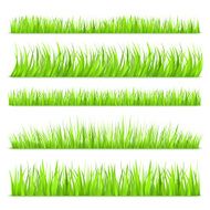 Green grass N6