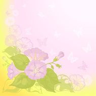 Background with flowers Ipomoea N2
