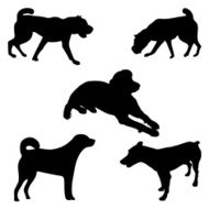 DOGS N31
