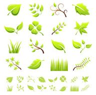 Green Leaf - Duo Series
