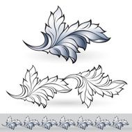 Beautiful leaf