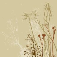 Grass N14