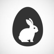 rabbit inside a egg