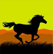 Horse at sunset N2
