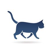 Walking cat