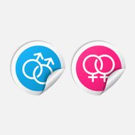 Vector sexual orientation white web icons