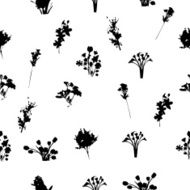 Black and White Florals Pattern