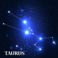 Symbol Taurus Zodiac Sign Vector Illustration N2