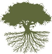 tree roots silhouette