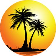 Palm tree backgrond - VECTOR