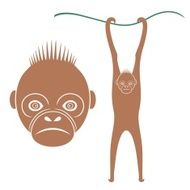 Monkey N44