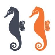Sea Horse N9