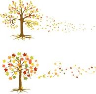 Autumn Trees N15