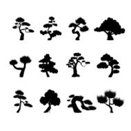 Tree silhouettes N21