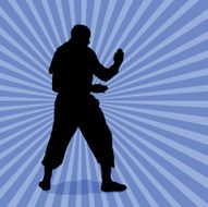 Kung-Fu Ninja Silhouette